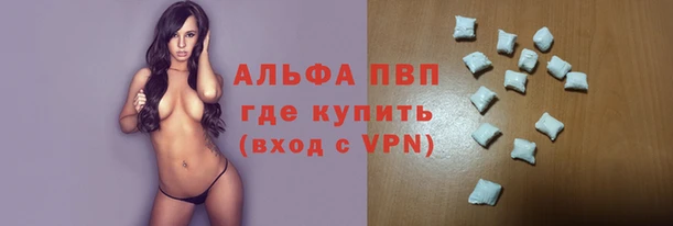 СК Гусев