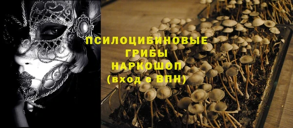 эйфоретик Абаза